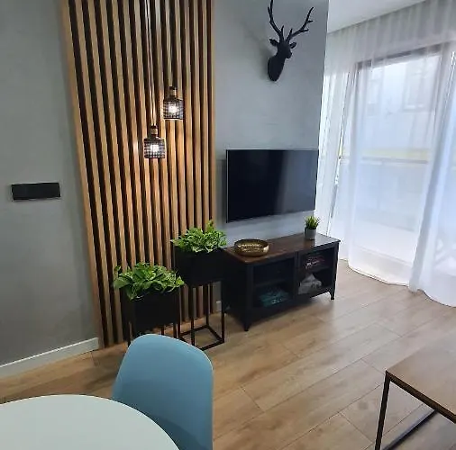 Midnight Blue Breslavia